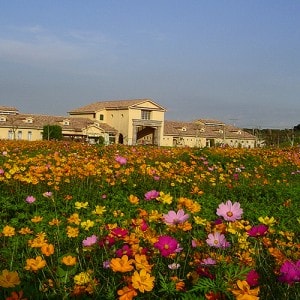 可憐に咲く花々が、四季の訪れを教えてくれる。