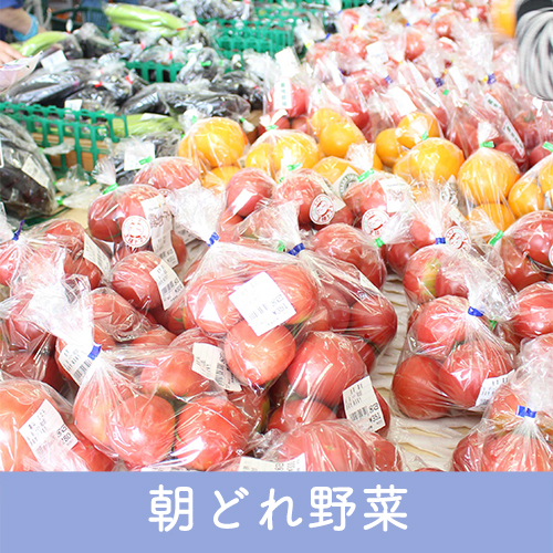 朝どれ野菜