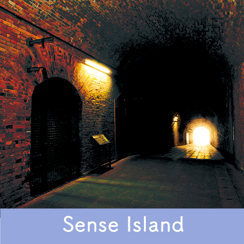 Sense Island