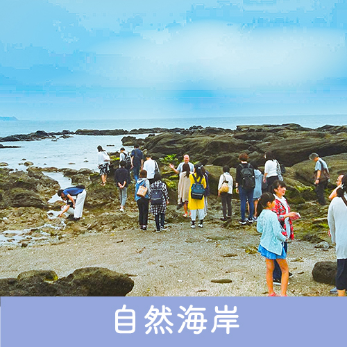 自然海岸