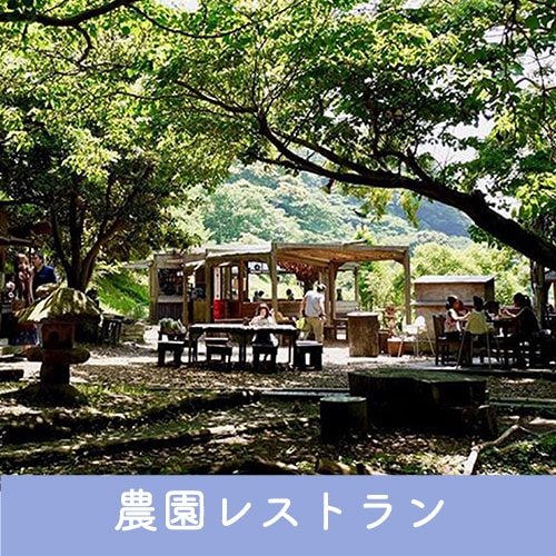 農園レストラン