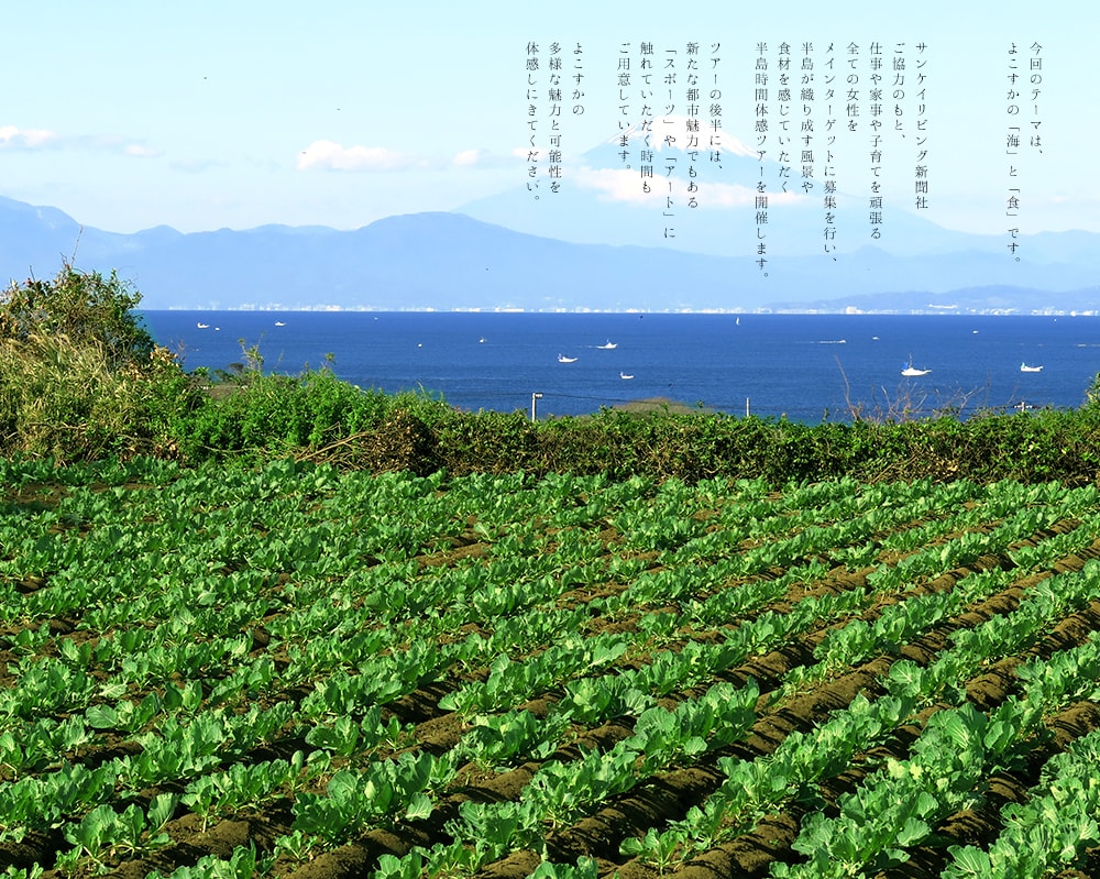 今回のテーマは、
よこすかの「海」と「食」です。
サンケイリビング新聞社
ご協力のもと、
仕事や家事や子育てを頑張る
全ての女性を
メインターゲットに募集を行い、
半島が織り成す風景や
食材を感じていただく
半島時間体感ツアーを開催します。
　
ツアーの後半には、
新たな都市魅力でもある
「スポーツ」や「アート」に
触れていただく時間も
ご用意しています。

よこすかの
多様な魅力と可能性を
体感しにきてください。